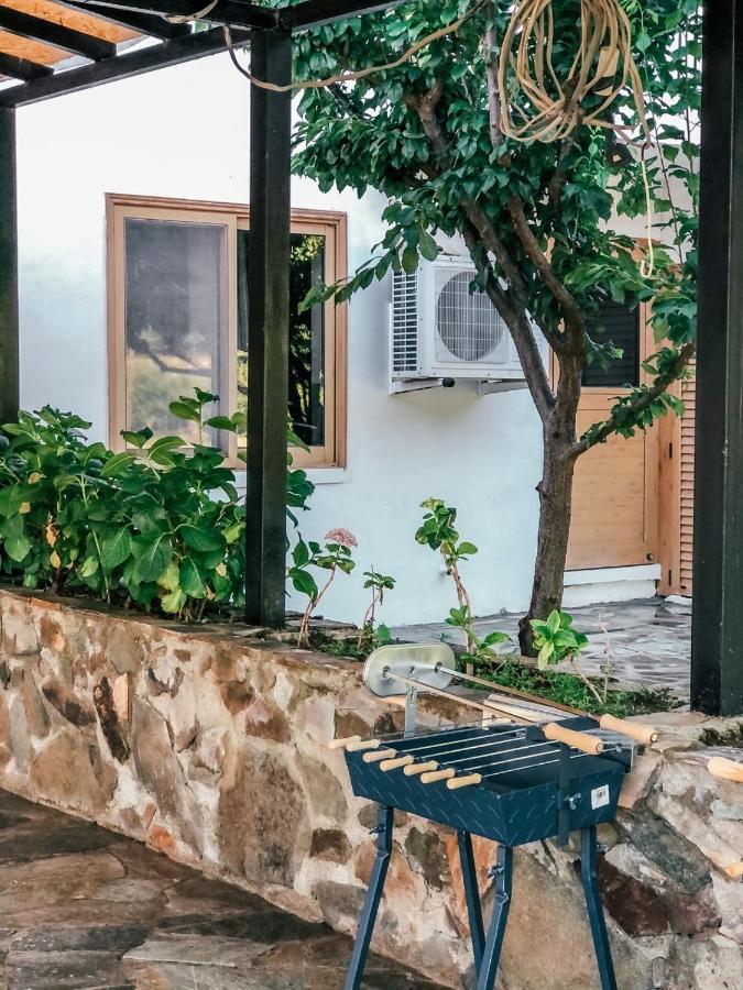 Vila Milea Mansion Lemesos Exteriér fotografie